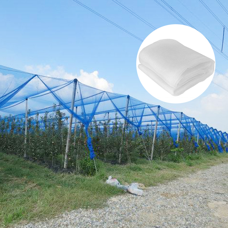 Vloga mreže proti insektom