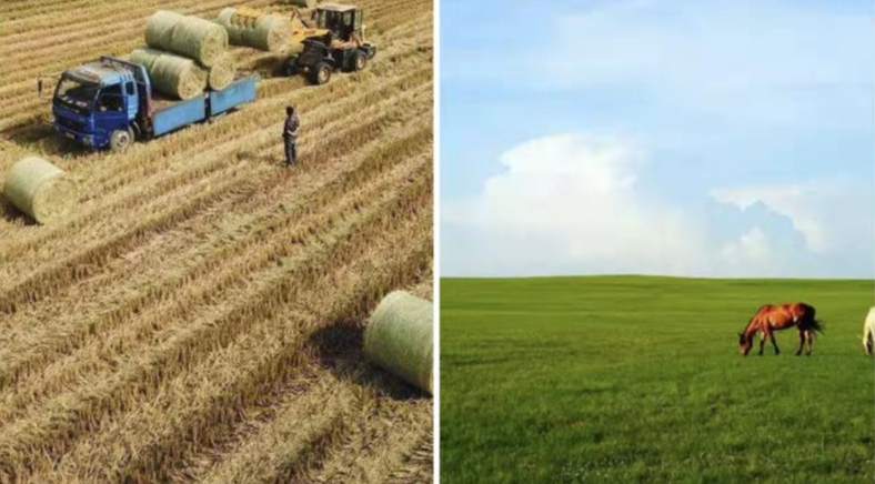 Kakšna je prednost uporabe Bale Net Wrap?