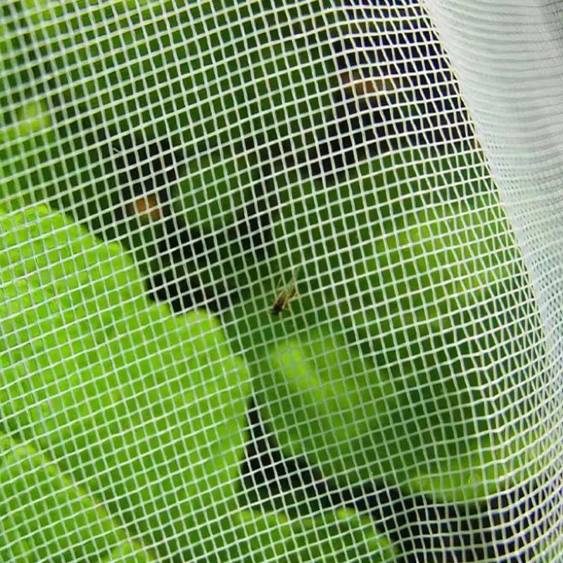 Zakaj bi morali uporabiti mrežo proti insektom v rastlinjaku¼
