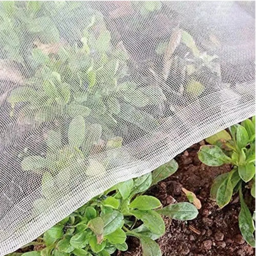Kako izbrati mreže proti insektom poleti