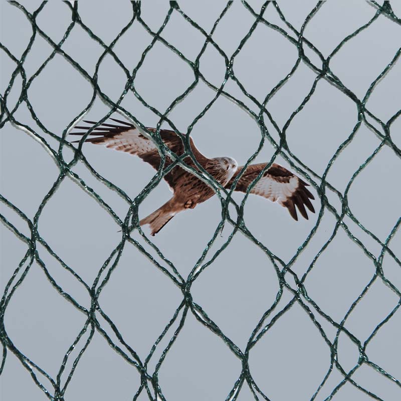 Kakšne so izbire materialov ter prednosti in slabosti mrež za zaščito pred pticami?