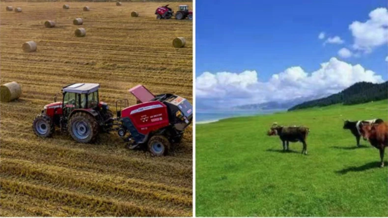 Uporaba ovoja mreže za bale v kmetijskih dejavnostih