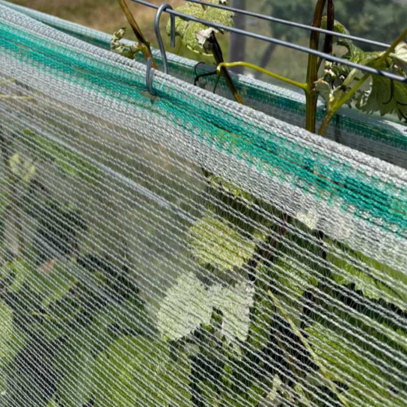Kmetijstvo HDPE mreže proti toči Kmetijstvo HDPE mreže proti toči