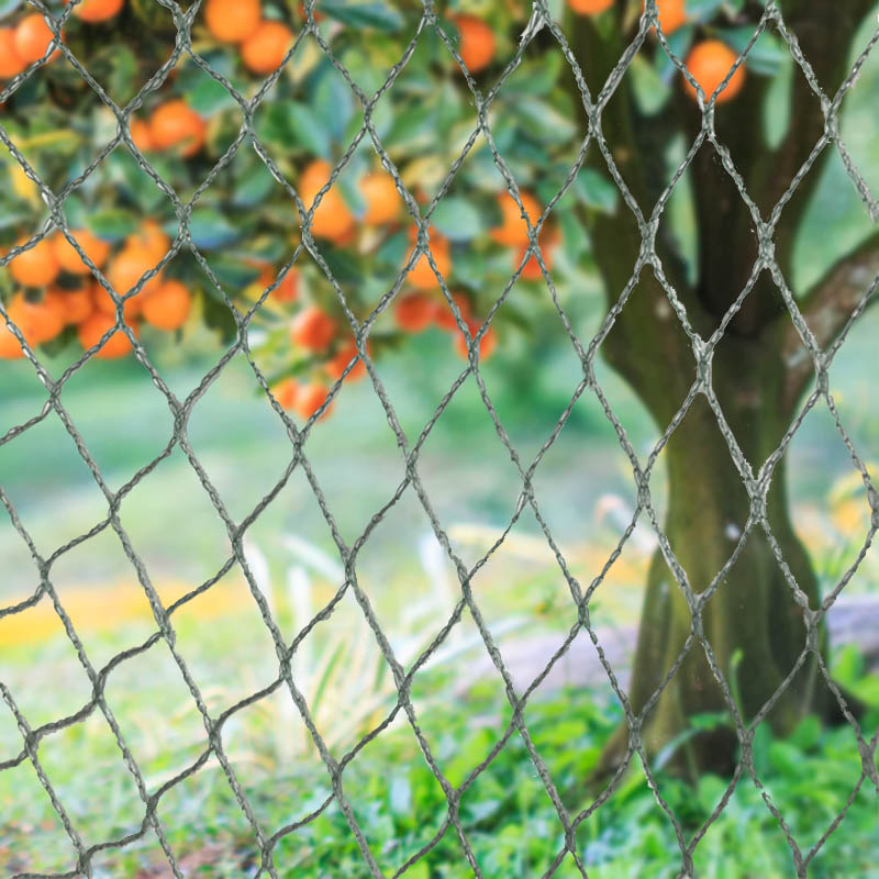 Pregrade proti ptičjim mrežam za živali