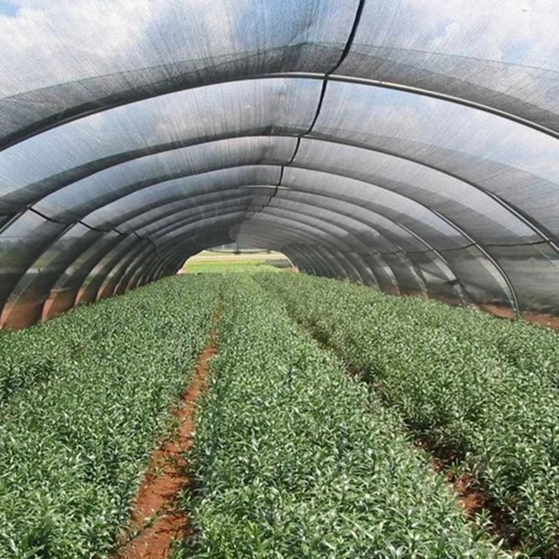 Vrtno senčilo za rastline 40 % blokirano sončno svetlobo